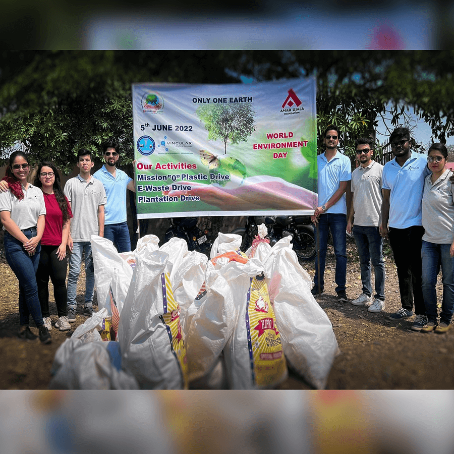 Tree plantation activity