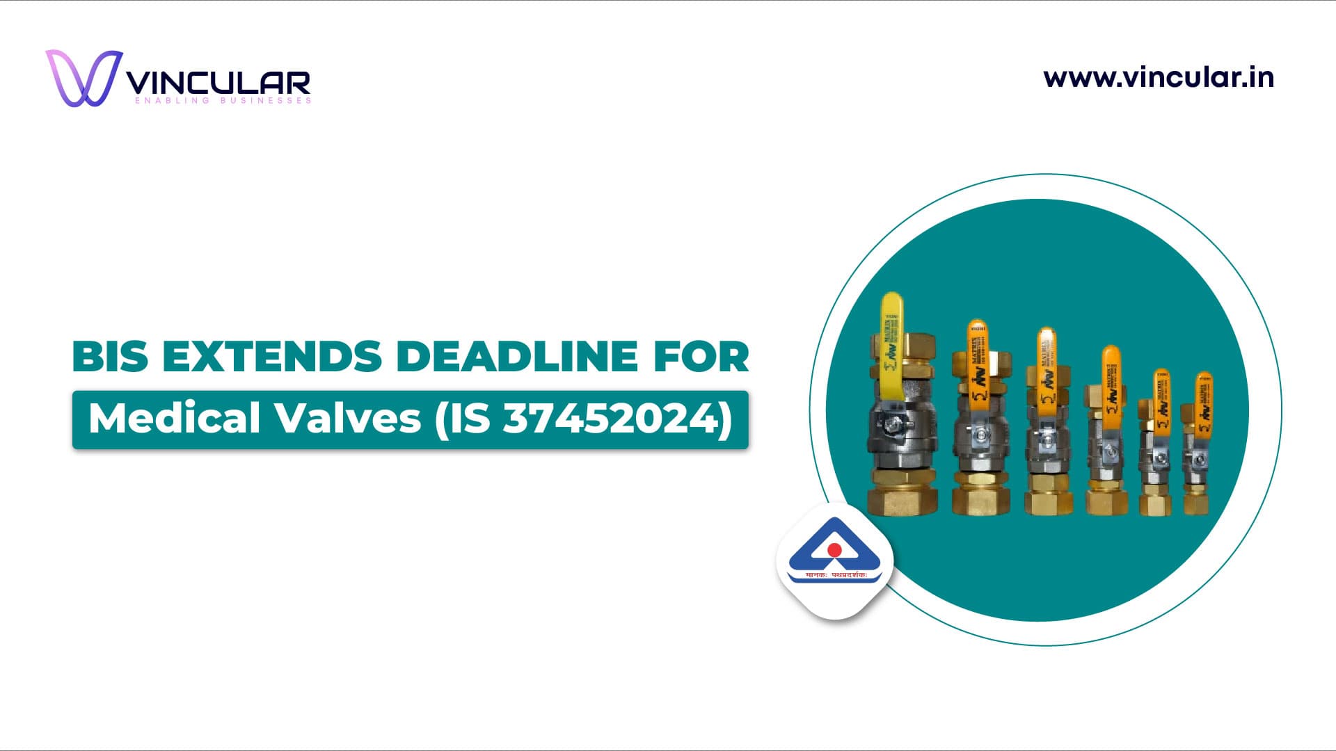 BIS Extends Deadline for IS 3745:2024 Medical Valves