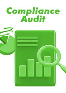 Compliance audit