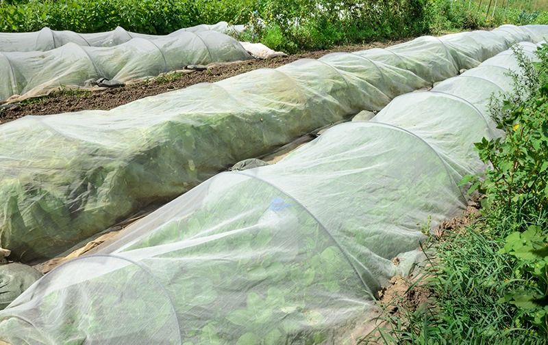 Quality Control Order On Insect nets for Agriculture and Horticulture purpose