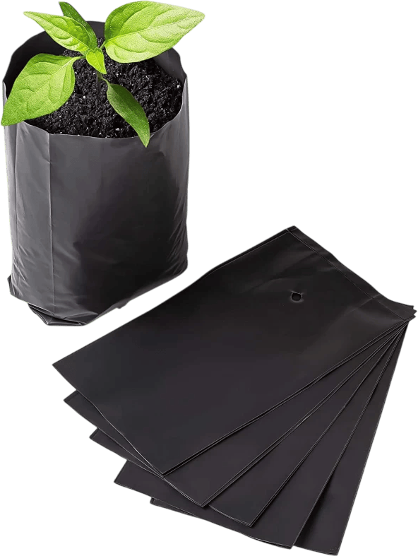 Quality Control Order On Sapling bags for growth of seedling sapling