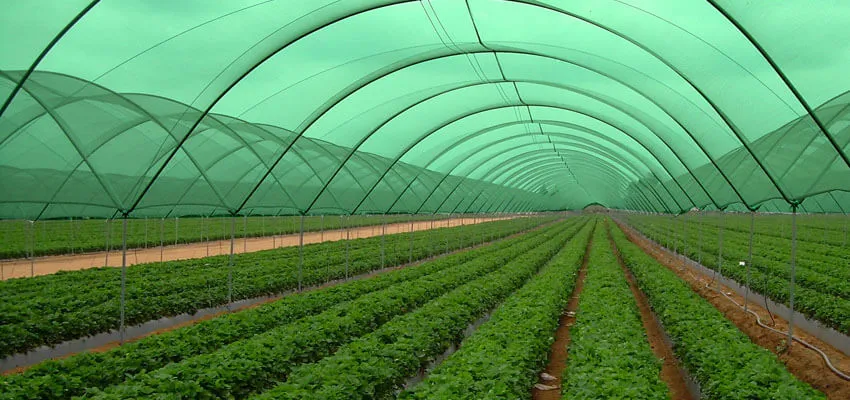 Quality Control Order On Harvest nets for agriculture and horticulture purposes