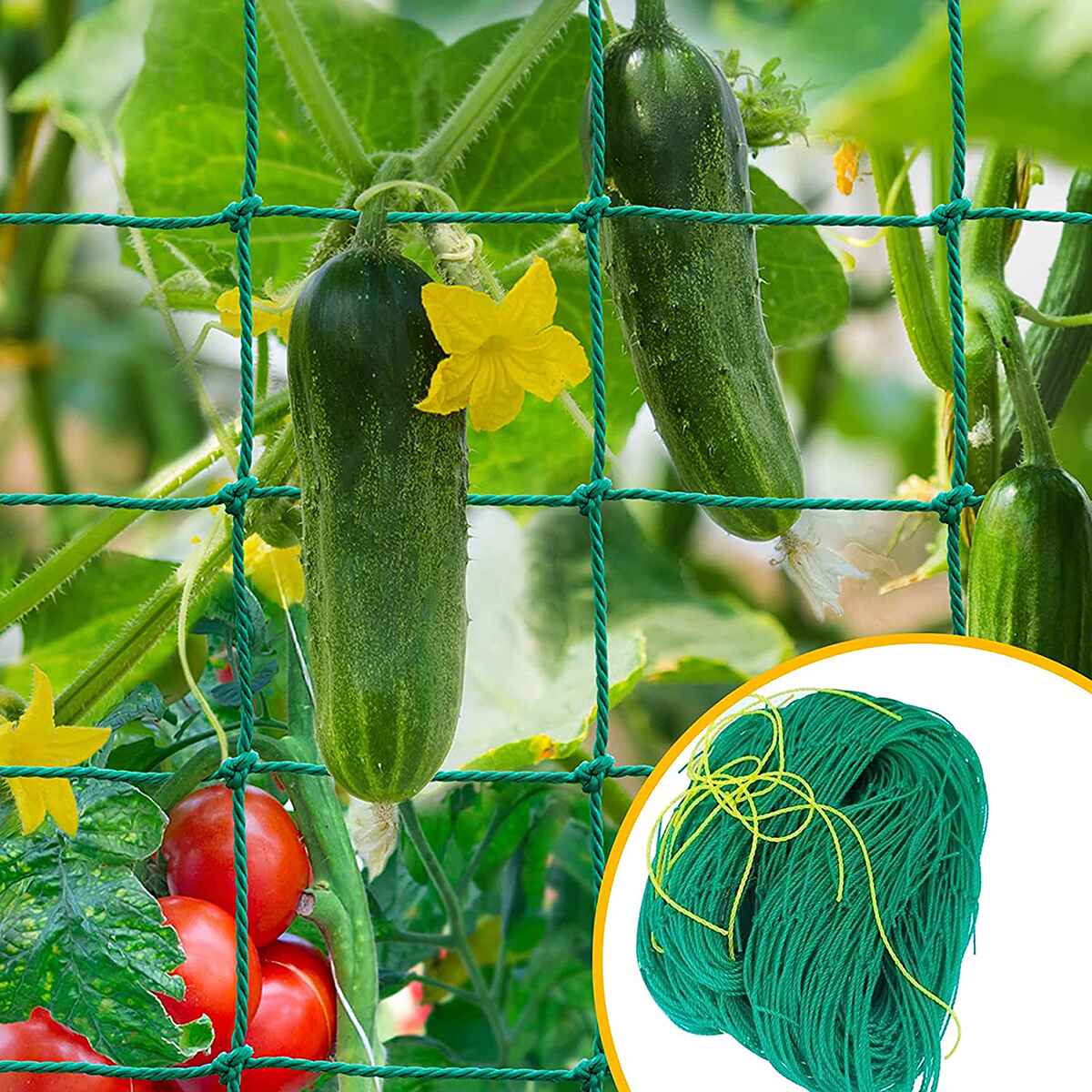 Quality Control Order On Plant Support Nets for Agriculture and Horticulture Purposes